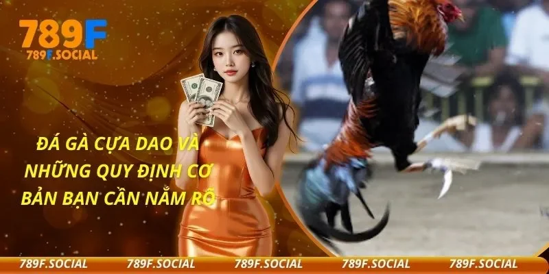 Đá Gà Cựa Dao Và Những Quy Định Cơ Bản Bạn Cần Nắm Rõ