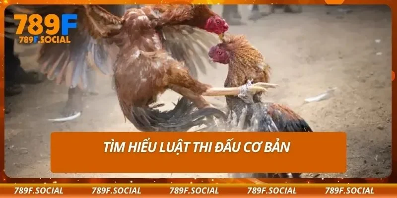 Tìm hiểu luật thi đấu cơ bản