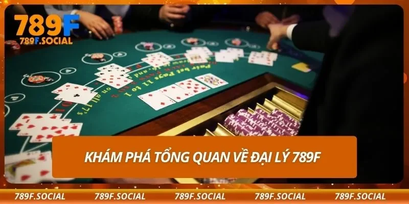 Khám phá tổng quan về đại lý 789F