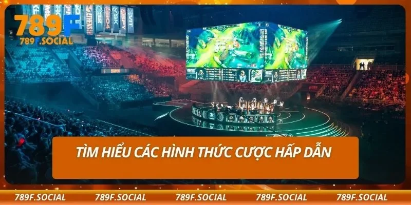 Tìm hiểu các hình thức cược hấp dẫn