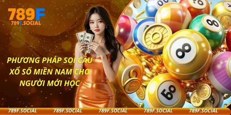 Phương Pháp Soi Cầu Xổ Số Miền Nam Cho Người Mới Học