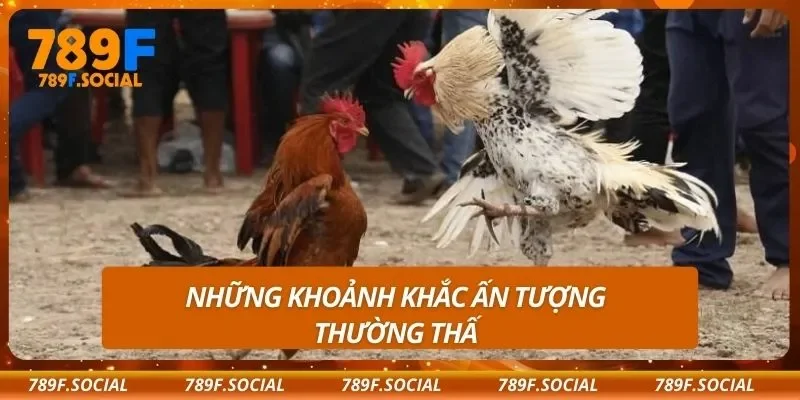 Những khoảnh khắc ấn tượng thường thấy